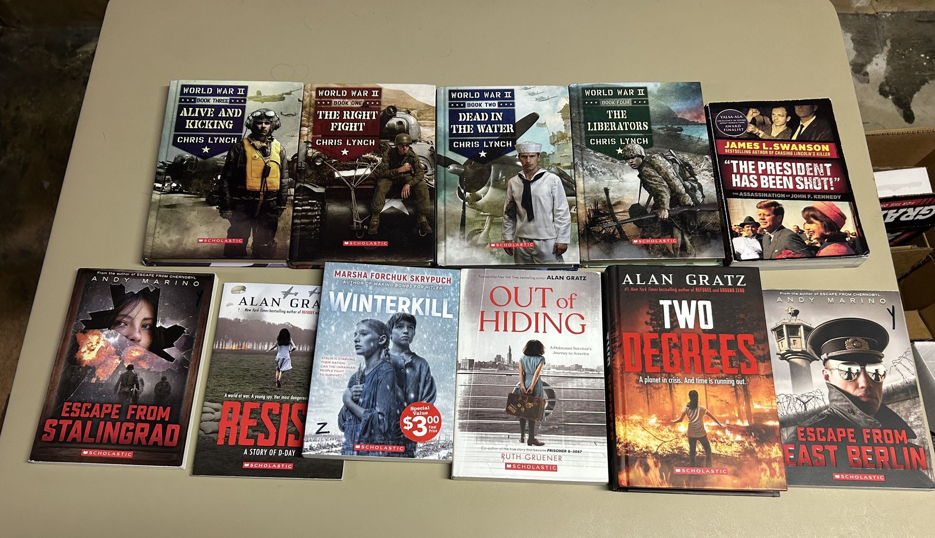 Historical fiction young adult chapter books bundle of 11
