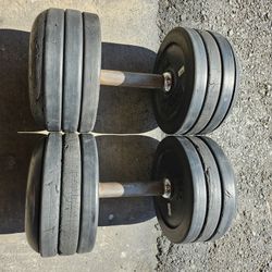 Pair Of Dumbbells 60lbs Each