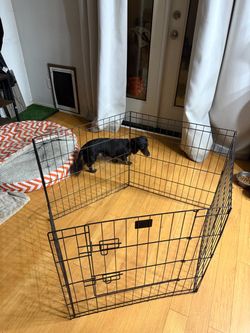 Dog cage