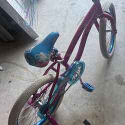 Small Girl Bike 