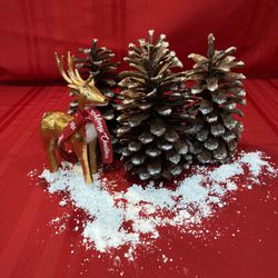 Snow Covered Pine Cone Large