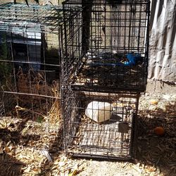 Cage For Ur Pet