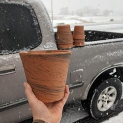 1/8/22 - $5 Tiger Pots for Sale