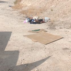 Found On Dirt Road In Lytle Creek 