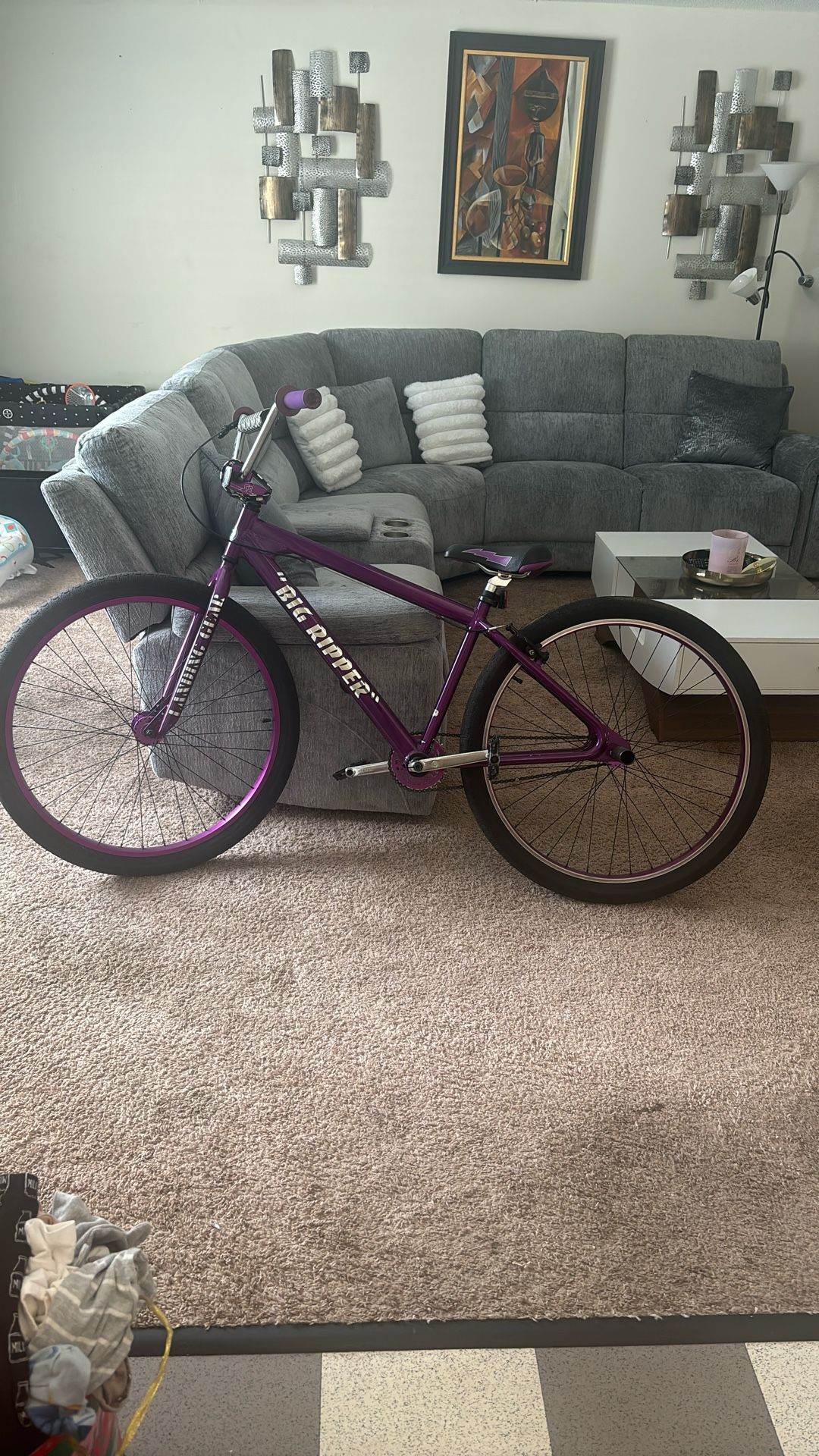 SE Bike