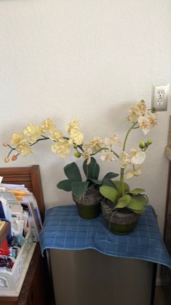 Artificial Orchid Plants-Ceramic Pots- Set