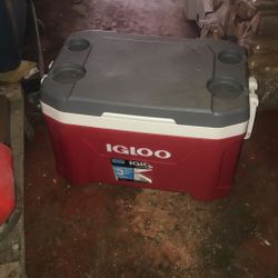 Igloo Cooler 