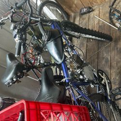 Two Motor Rized Bike 