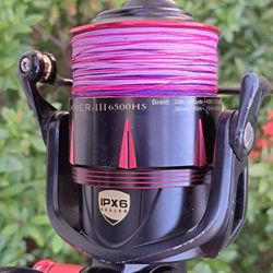 Penn Slammer3 (High Speed)/ Braid/Shimano Tallus Rod.