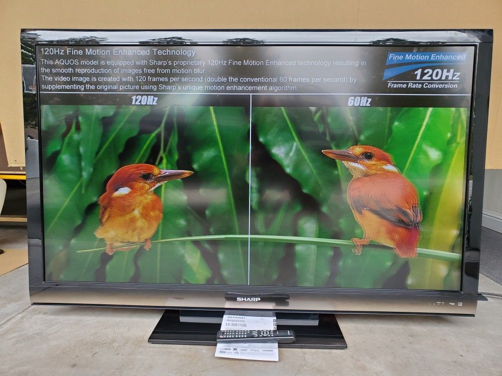 65 Inch TV