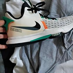 Lebron's Sz 8.5 
