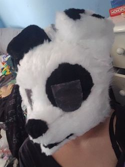 dalmatian furry head