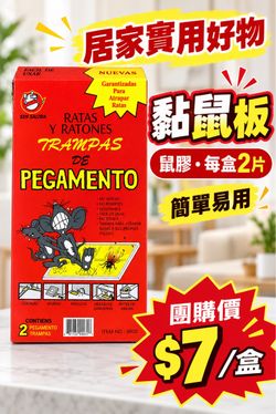 Glue Rat Trap 2-Pack
