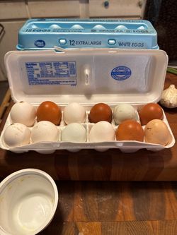 1 Dozen Chicken Eggs