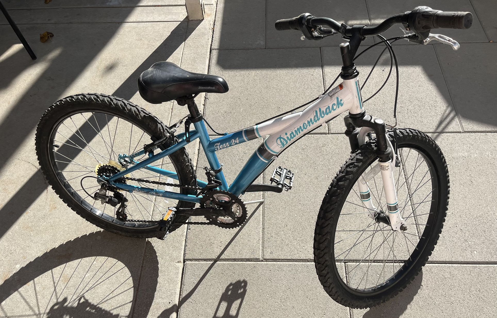 Diamond Back 24 Inch Wheel Mountain Bike