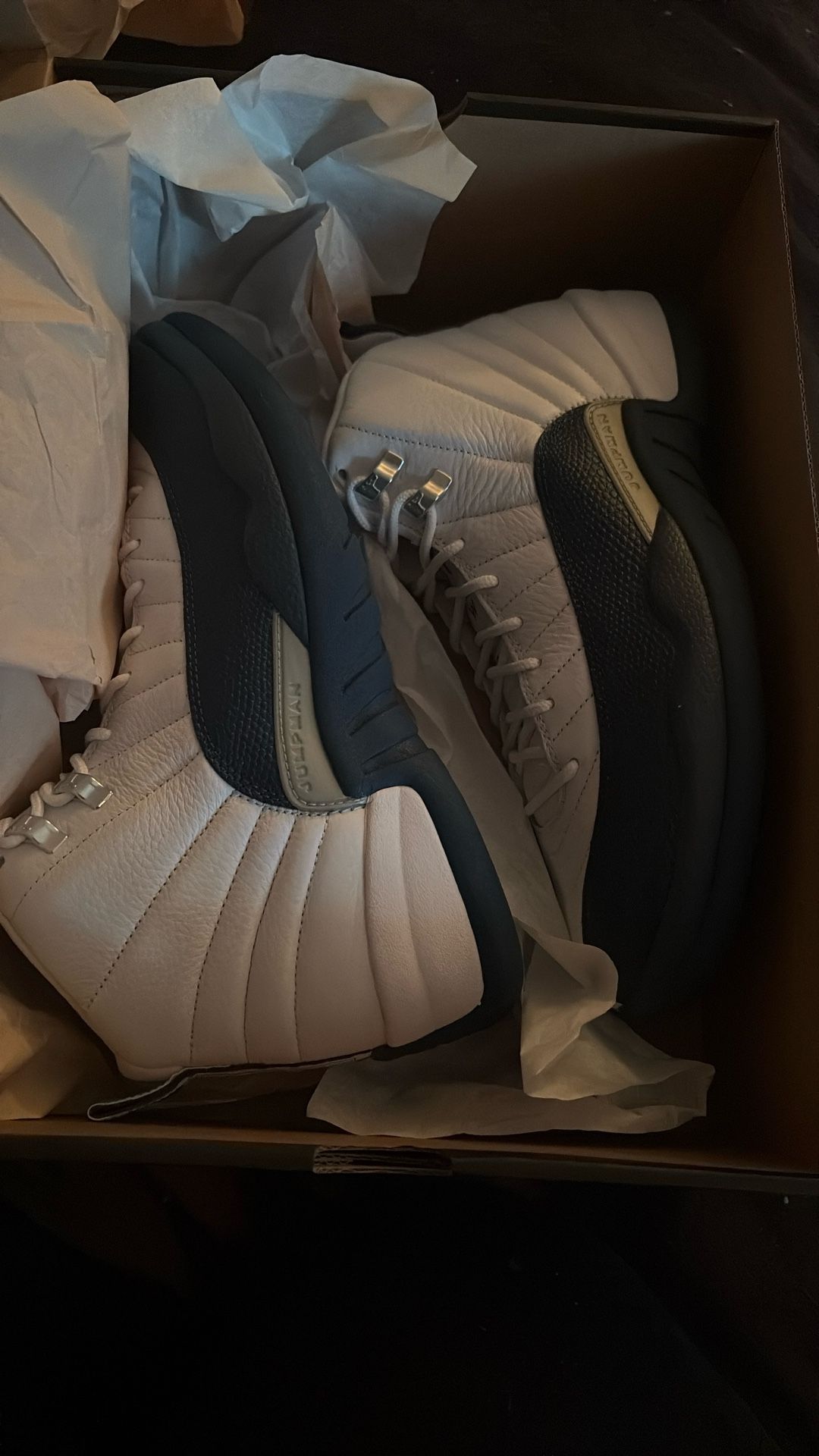 Air Jordan Retro 12