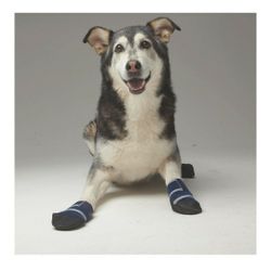 XL Dog Shoes