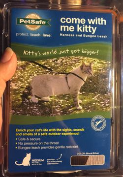 Cat Leash & Harness $10