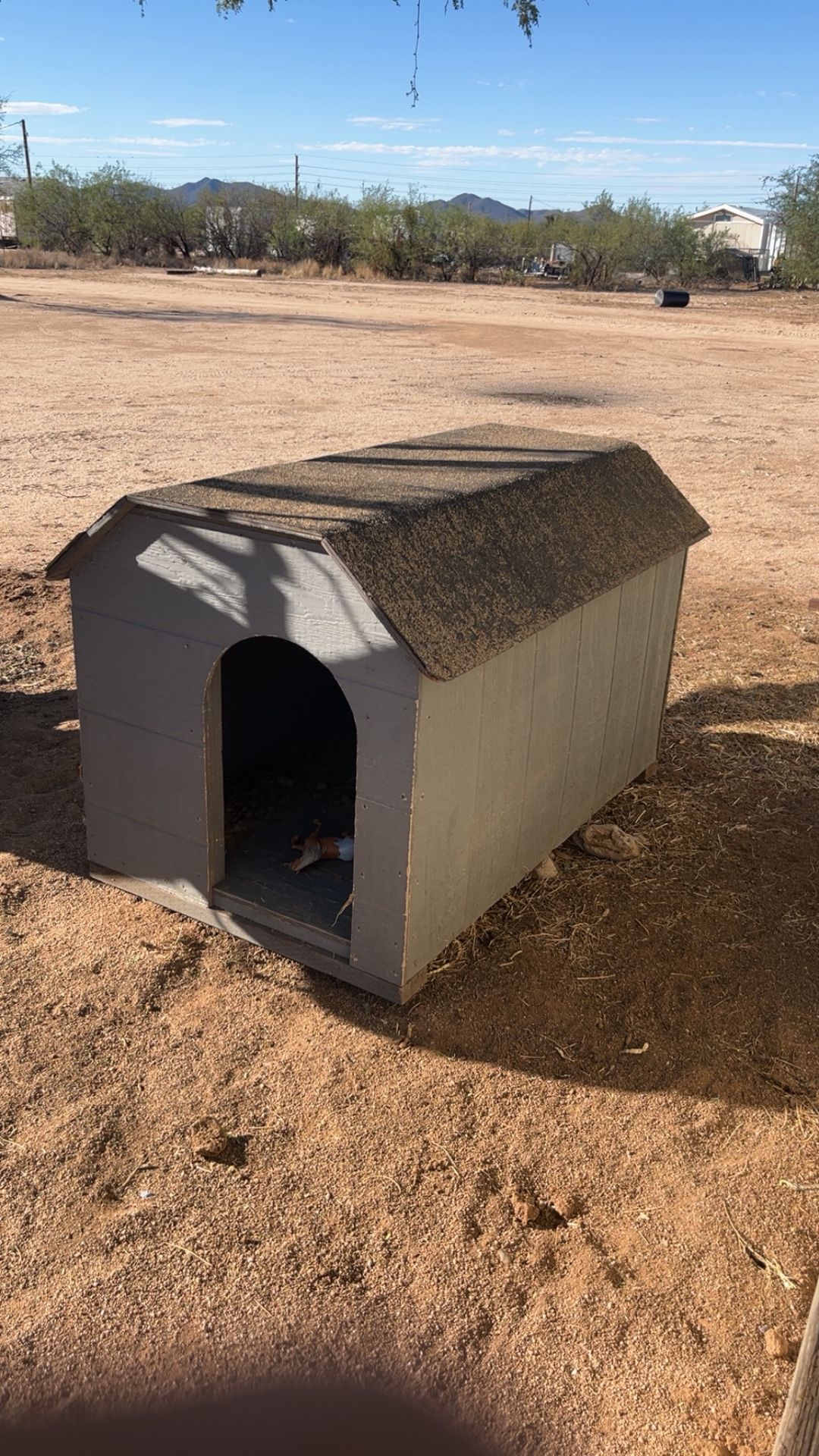 Dog House