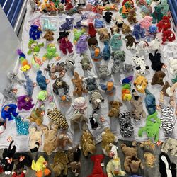 Collection Of Toy Beanie Babies