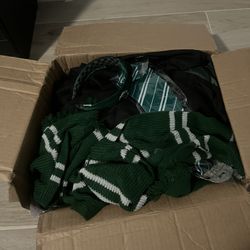 Slytherin Halloween Costume