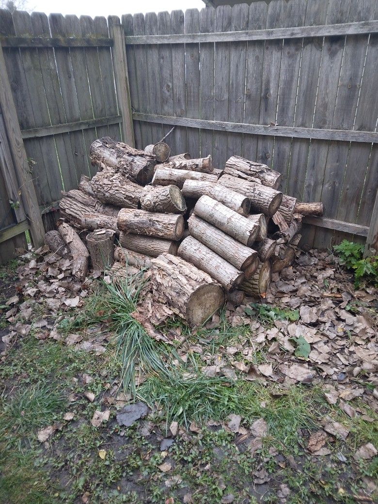 Firewood