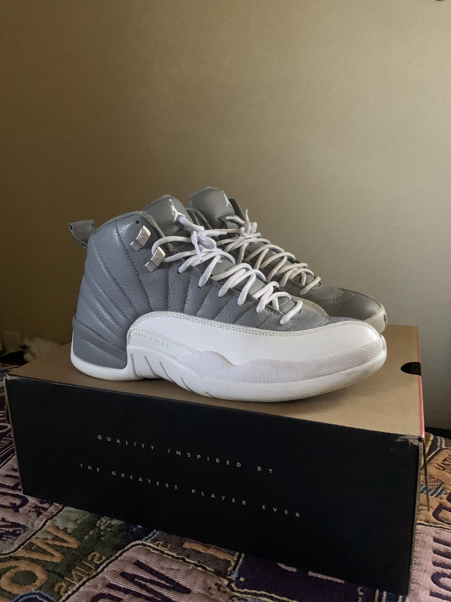 Jordan 12 Stealth
