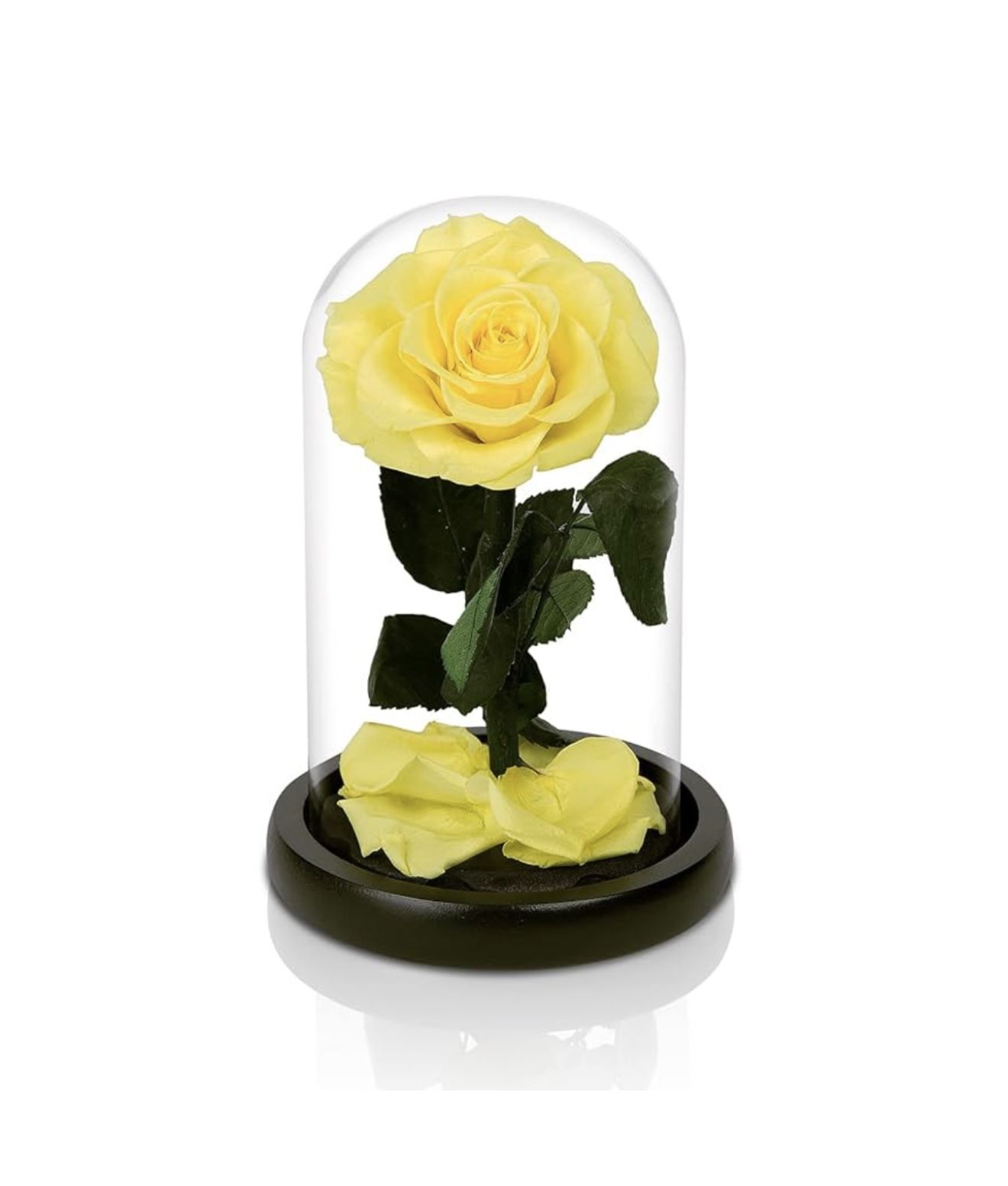 NATROSES Handmade Preserved Roses in Glass Dome, Yellow Roses, Preserved Flowers Gifts for Women, Mothers Day Flowers