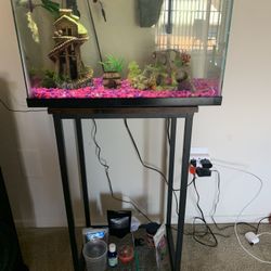 Fish Tank