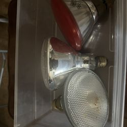 Security/flood Lights