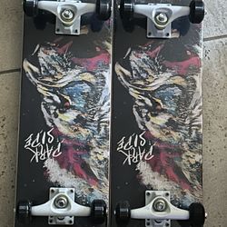 Brand New Skateboard 