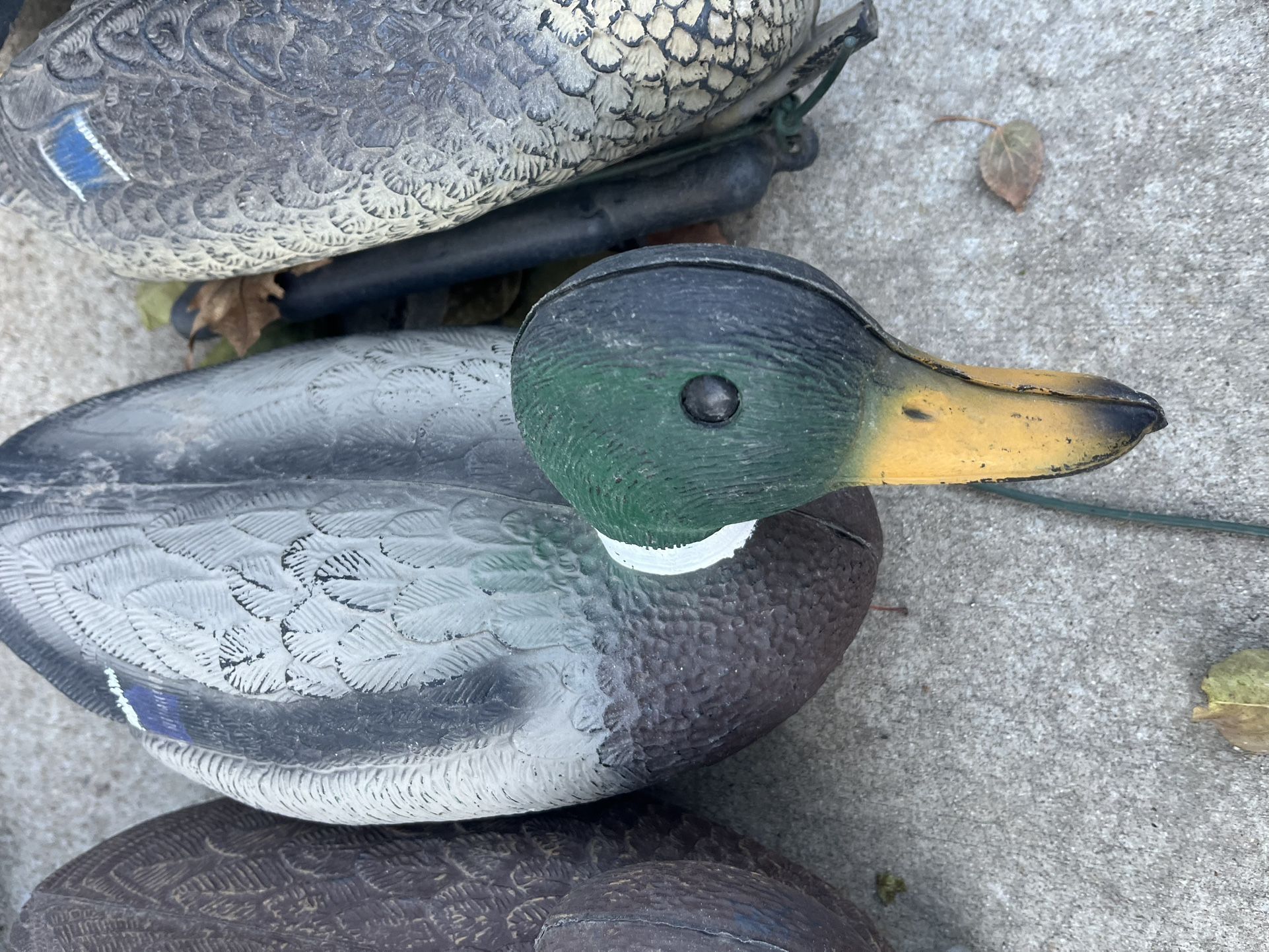 Duck decoys, a Cabelas bag full approximately 20 mixed as pictured duck hunters look