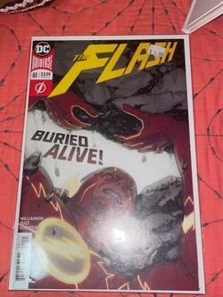 Flash (2019)