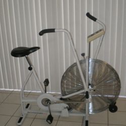Schwinn Airdyne AD3 Exercise Bike 