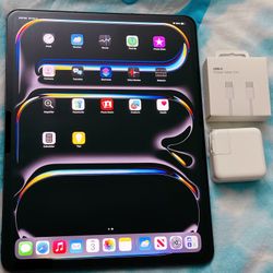 M4 Latest Model IPad Pro 13 Inch 256GB ( WiFi 6E + Cellular 5G ) 10 Months  Warranty 