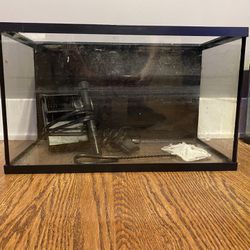 10 Gallon Fish Tank (+filter and heater)