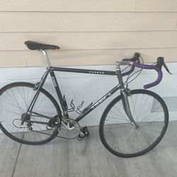 Trek Bike Carbon Fiber 2300