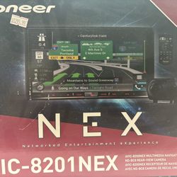Pioneer Radio System 