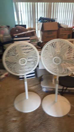 Oscillating fans. Together or separately
