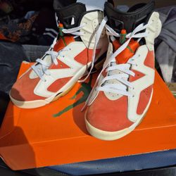 Jordan 6 Gatorade 