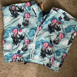 Adult Large Swim Trunks