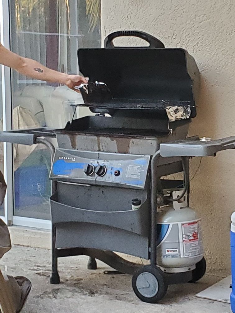 BBQ gas grill