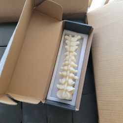 Box of NEW spine candle color grey white $5 each