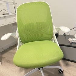 Office Chair / Desk Chair / Flip up Armrests /Swivel Breathable Desk Mesh /Computer Chair / Adjustable Lumbar Support & Height 
