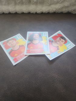 Panini españa