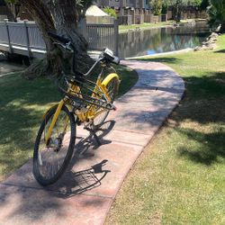 Beach Cruiser Bicycle 