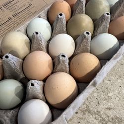 18 Farm Fresh Eggs