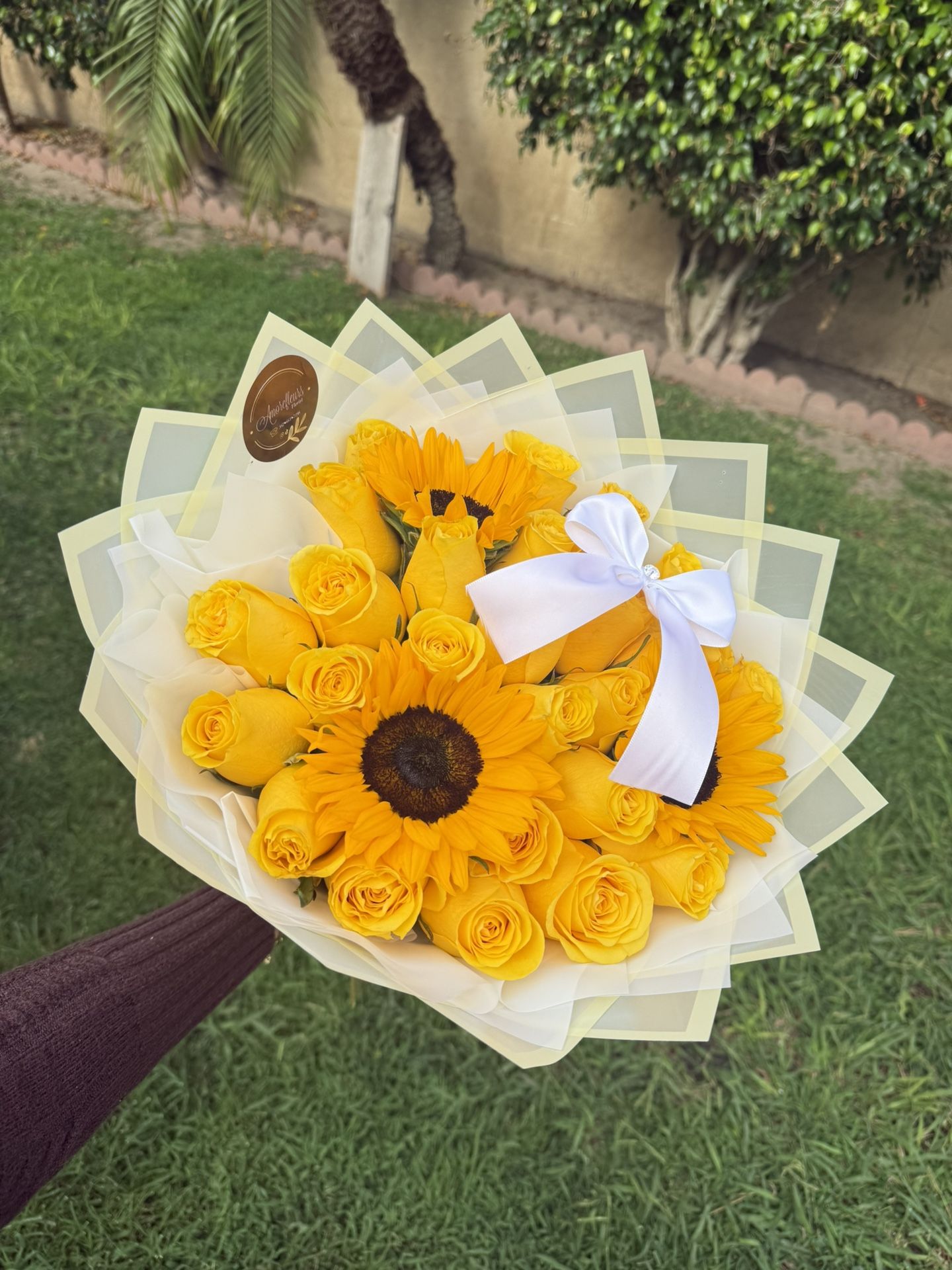Yellow Roses