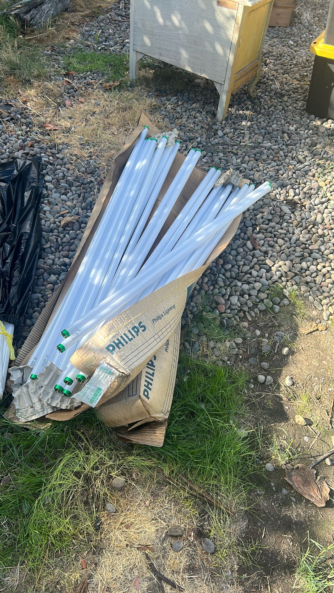 FREE Fluorescent Lightbulbs - Central Point