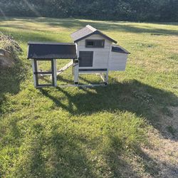 Chicken Coop 